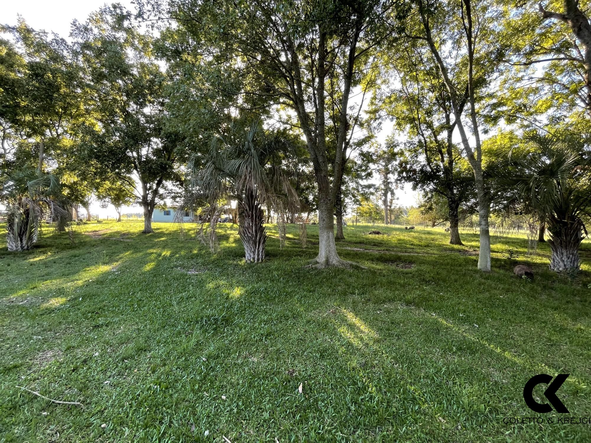 Fazenda à venda com 3 quartos, 146000m² - Foto 8