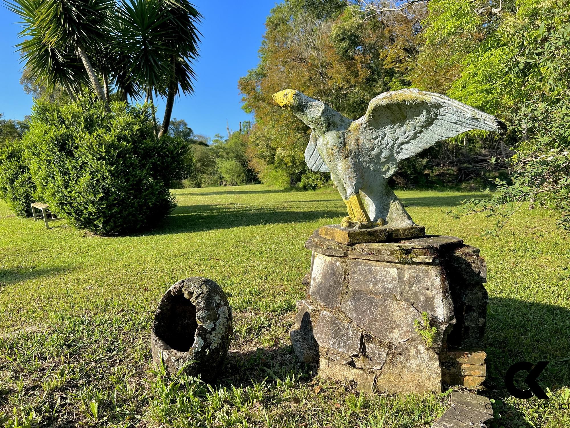 Sítio, 3 quartos, 4 hectares - Foto 7