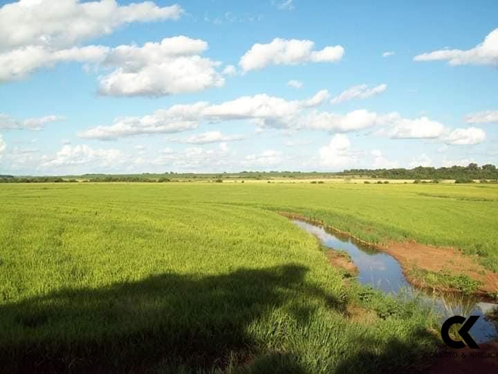 Fazenda à venda com 2 quartos, 150m² - Foto 7