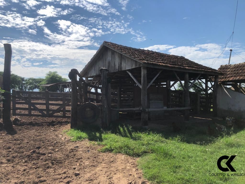 Fazenda à venda com 3 quartos, 32750000m² - Foto 17