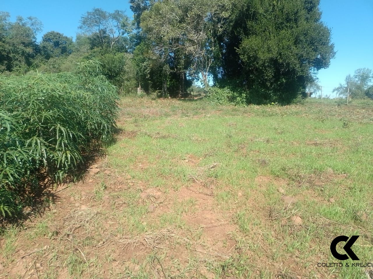 Sítio, 2 quartos, 4 hectares - Foto 24