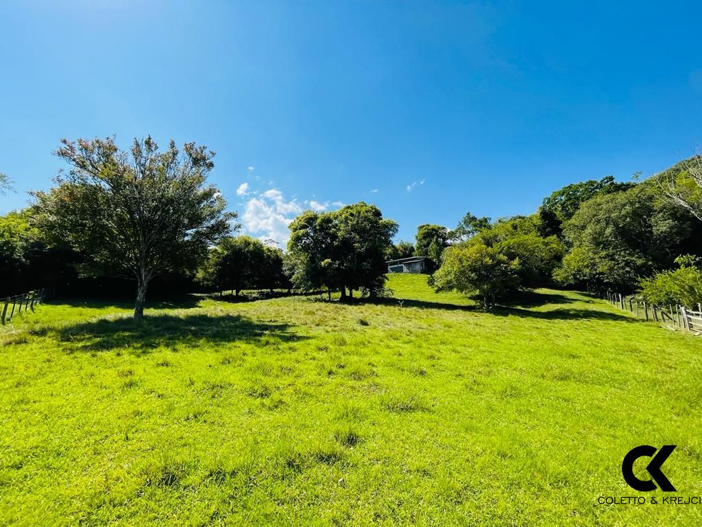 Fazenda à venda com 4 quartos, 48000m² - Foto 36