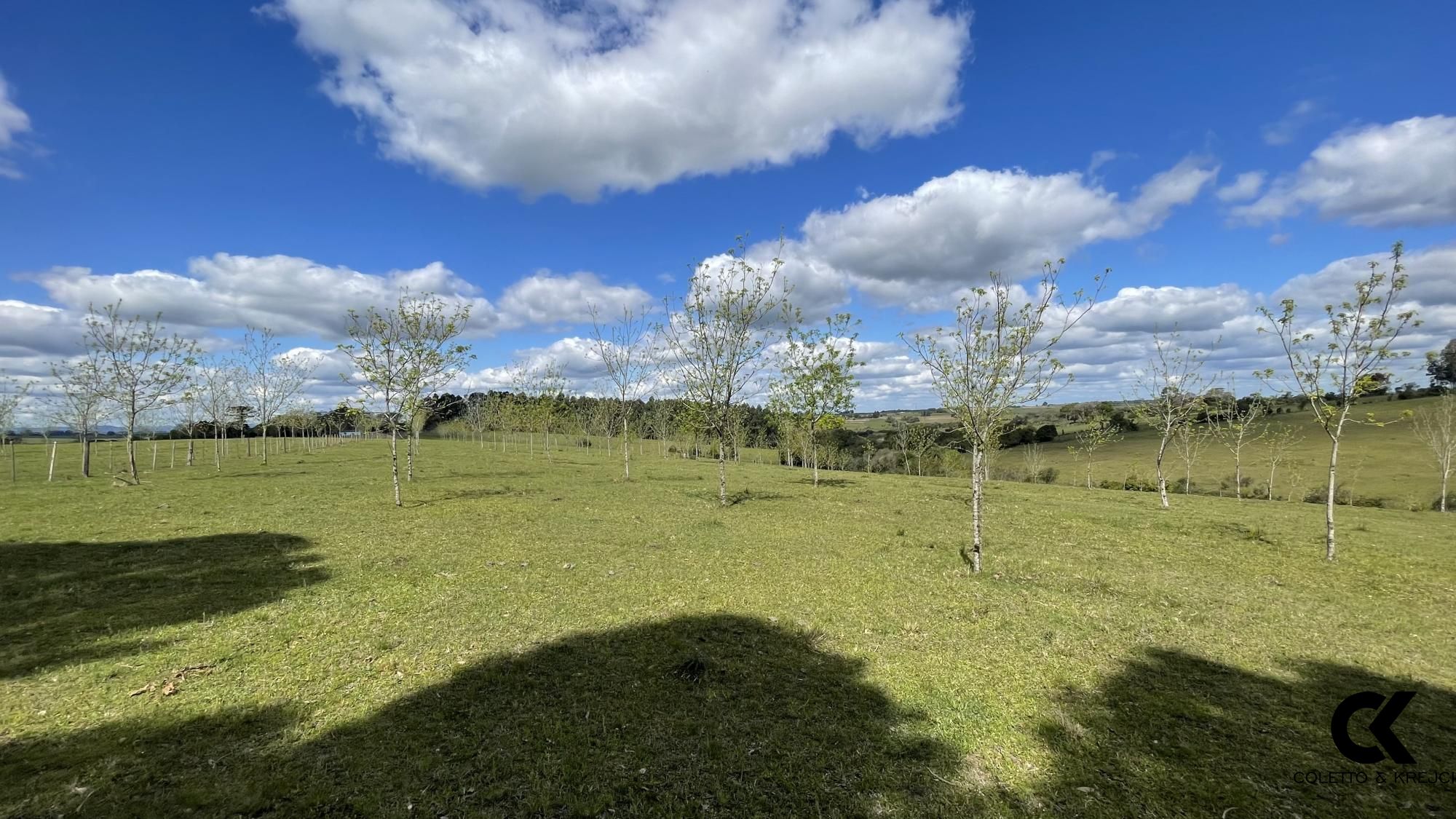 Fazenda à venda com 3 quartos, 146000m² - Foto 6