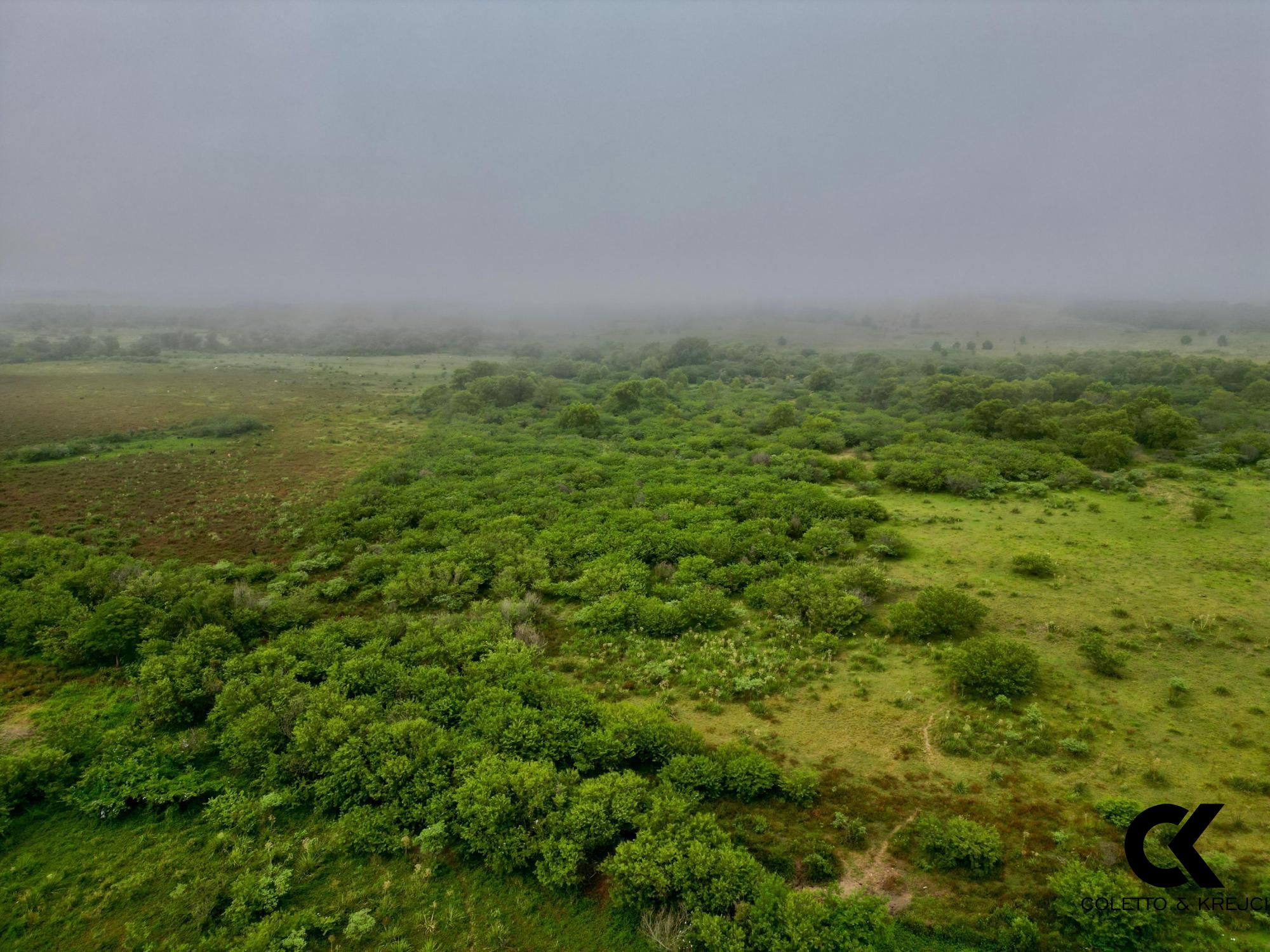 Terreno à venda, 60000m² - Foto 1