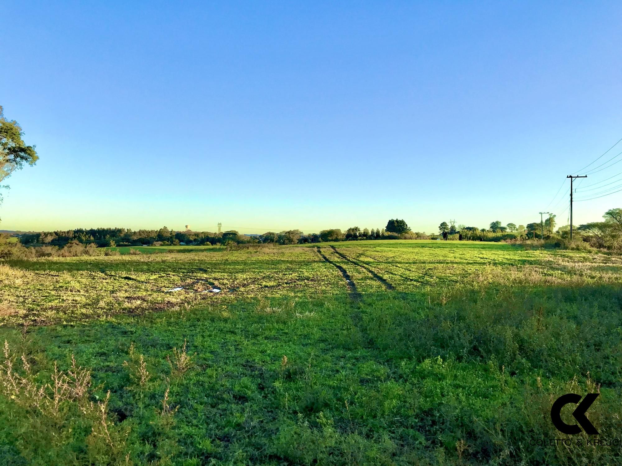 Fazenda à venda com 3 quartos, 185000m² - Foto 4