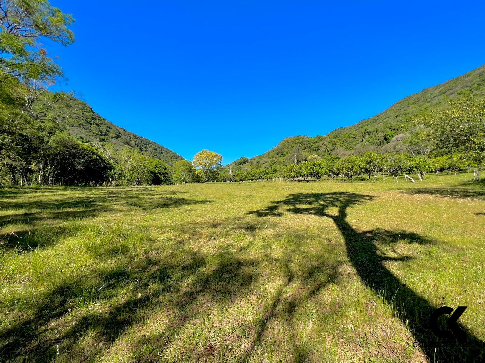 Fazenda à venda com 10 quartos, 600m² - Foto 36