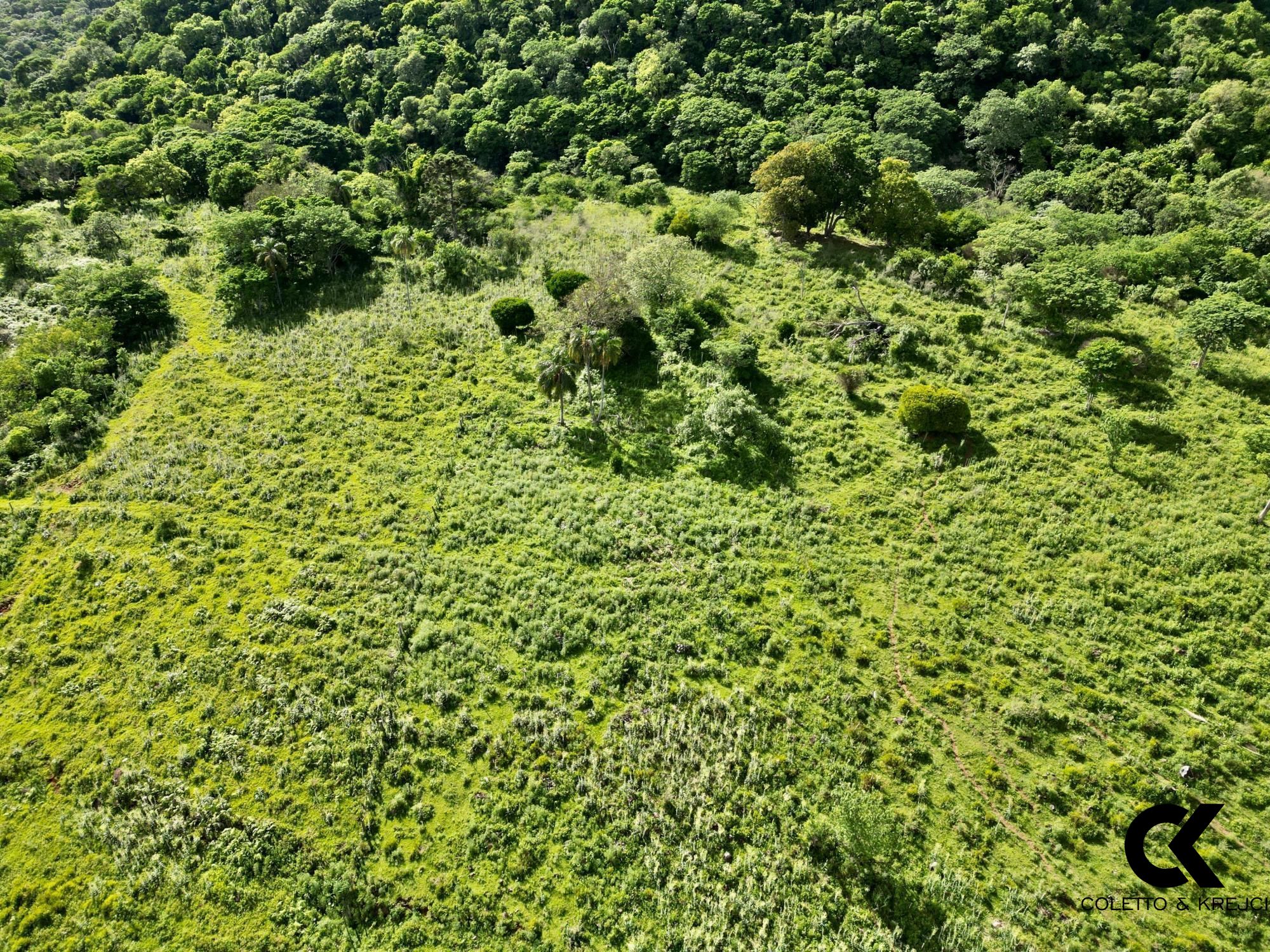 Fazenda à venda, 300m² - Foto 5