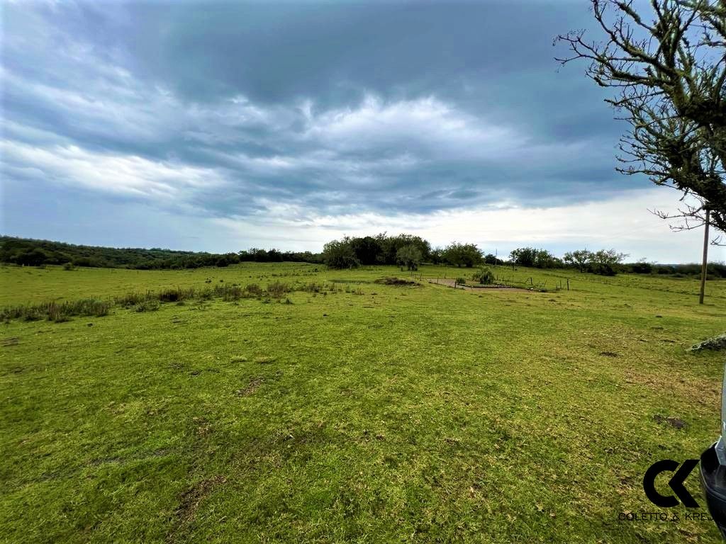 Sítio, 108 hectares - Foto 9