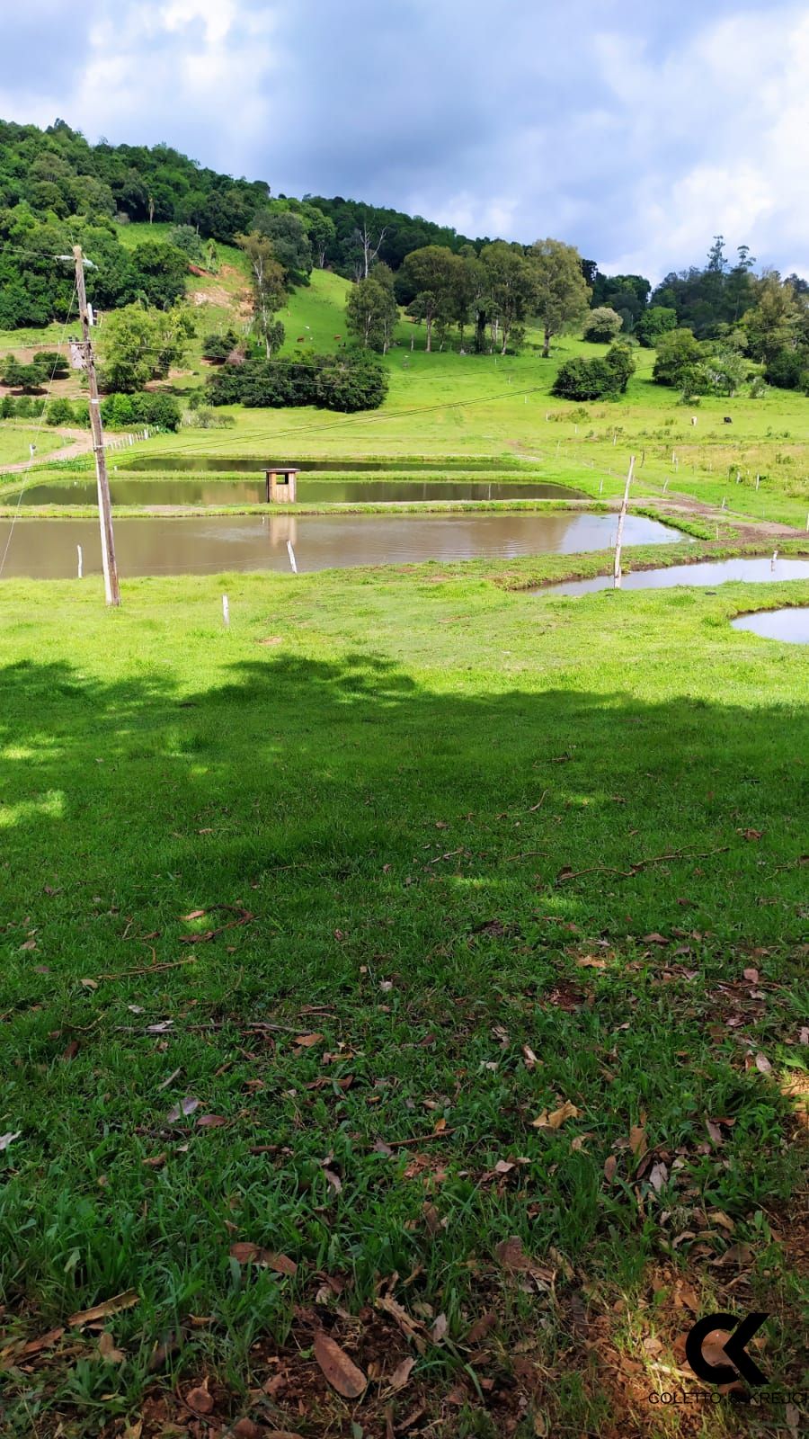 Fazenda à venda com 2 quartos, 42m² - Foto 5