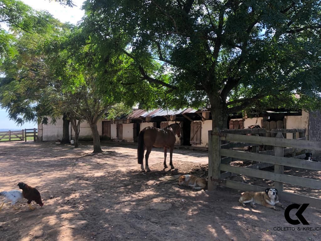 Fazenda à venda com 3 quartos, 32750000m² - Foto 20