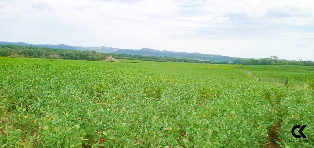 Loteamento e Condomínio, 150 hectares - Foto 2