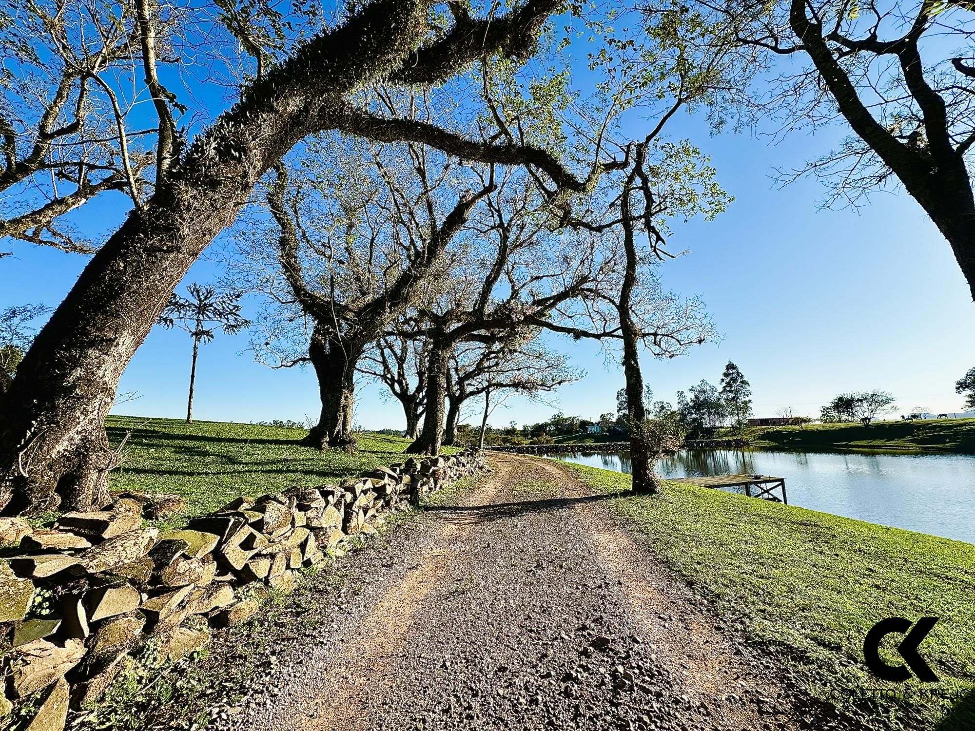 Fazenda à venda com 3 quartos, 54500m² - Foto 6