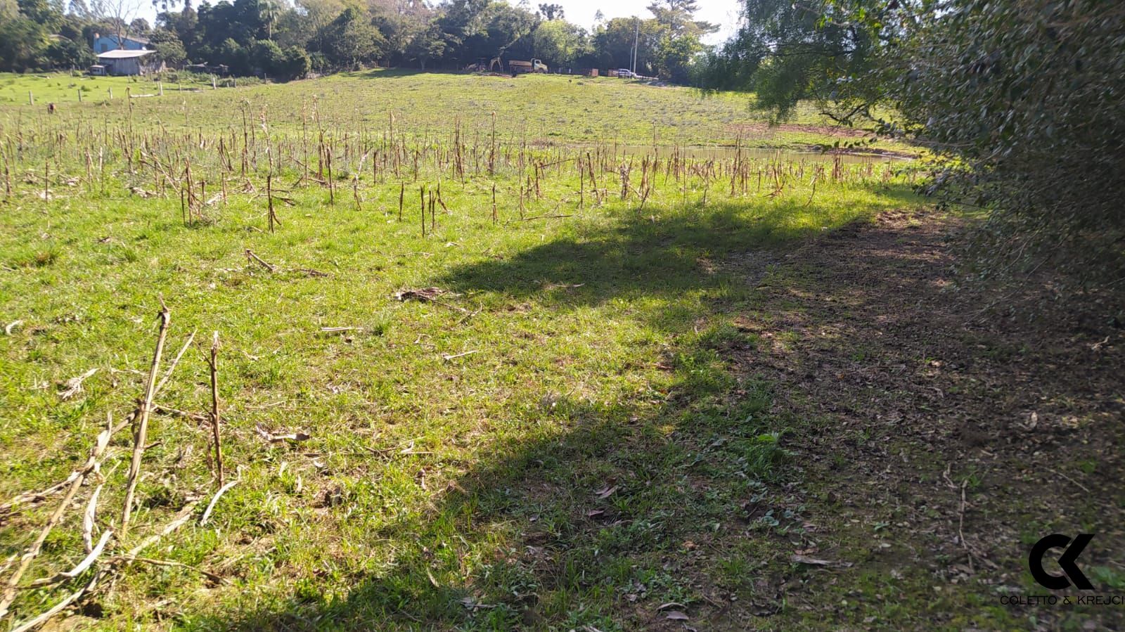 Sítio, 4 hectares - Foto 3