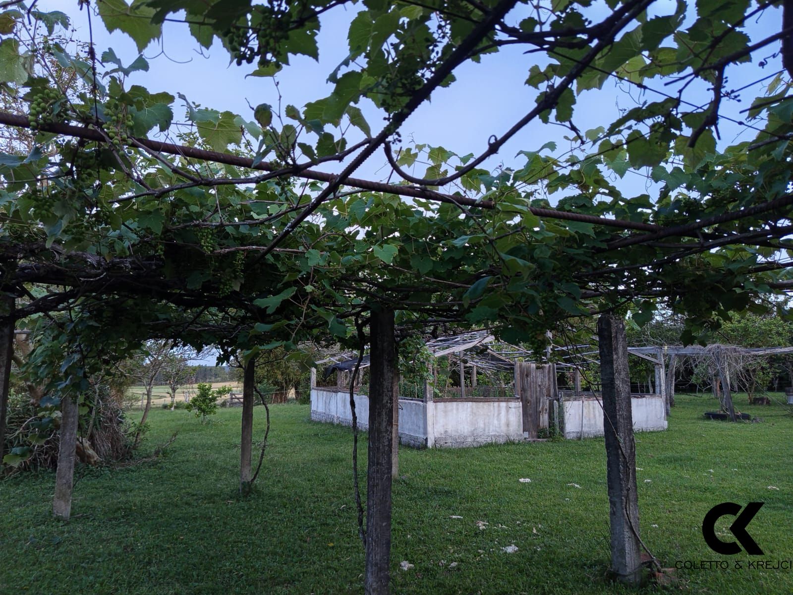 Sítio, 2 quartos, 50000 hectares - Foto 7