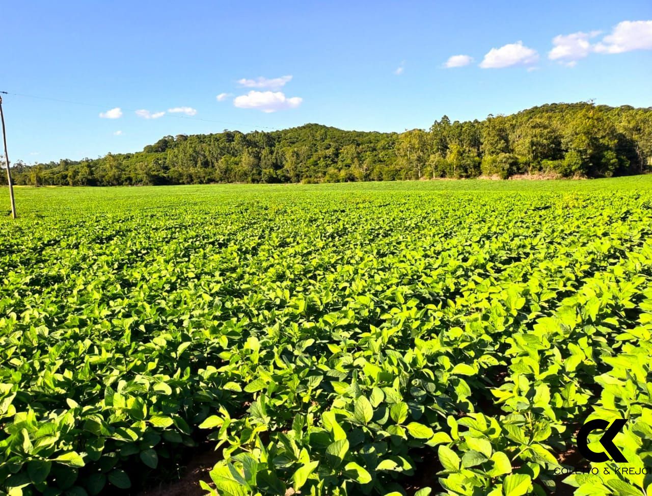 Loteamento e Condomínio à venda, 678000m² - Foto 2