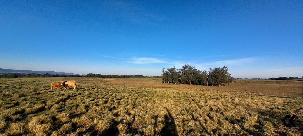 Fazenda, 7 hectares - Foto 17