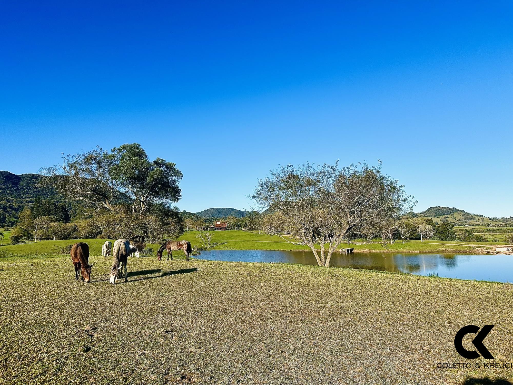 Fazenda à venda com 3 quartos, 54500m² - Foto 3