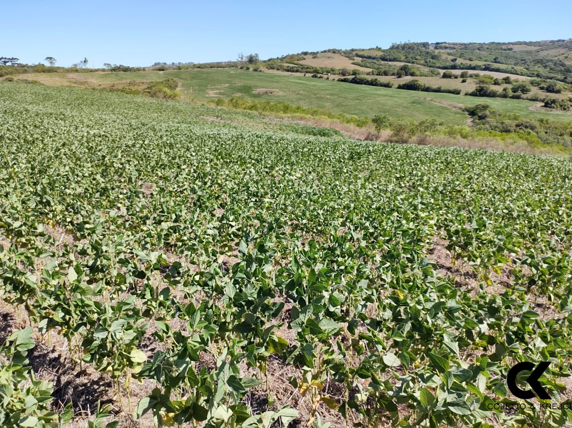 Loteamento e Condomínio à venda, 750000m² - Foto 2