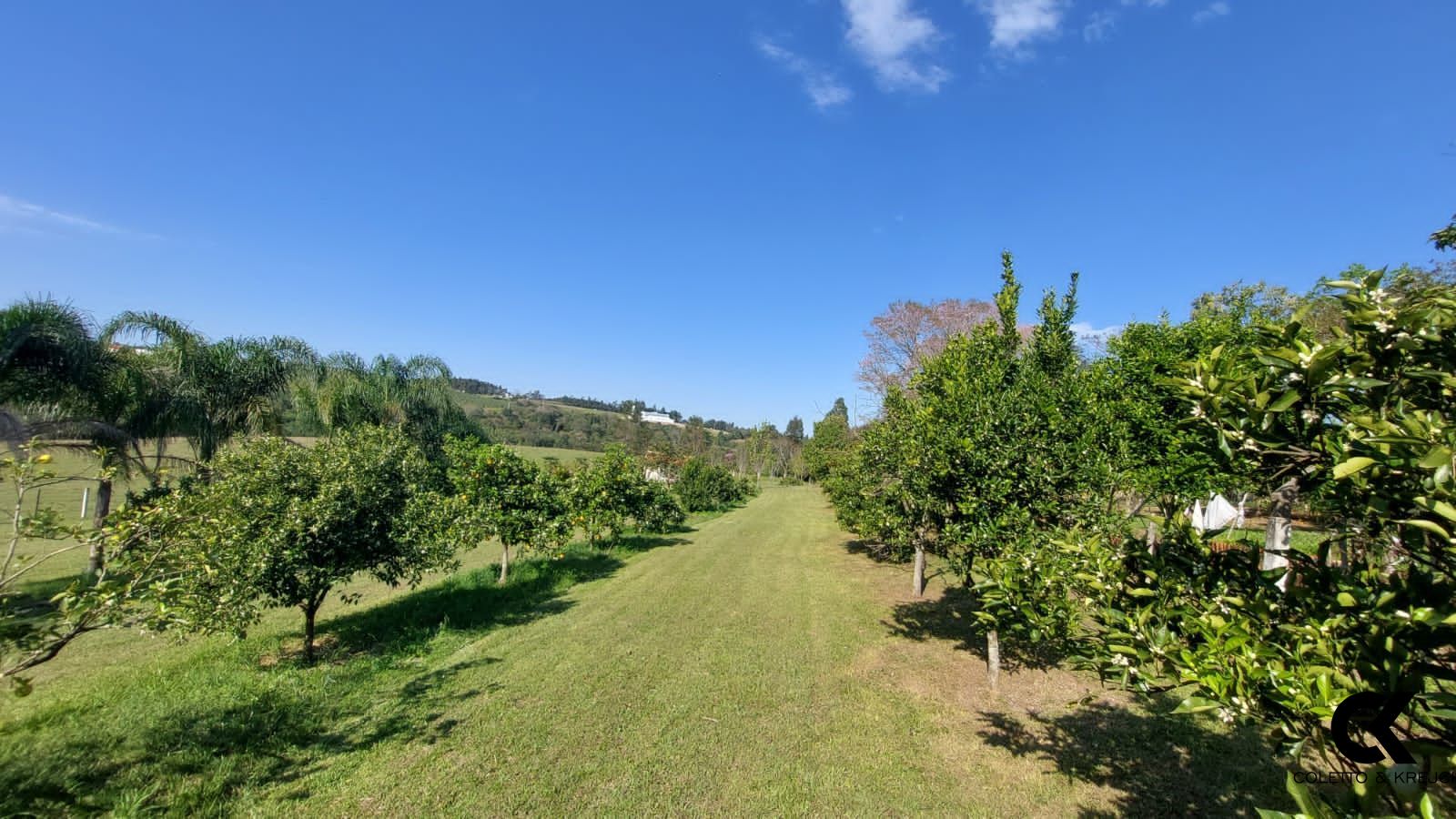 Fazenda à venda com 3 quartos, 250000000m² - Foto 4