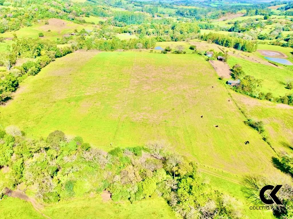 Fazenda à venda com 4 quartos, 240000m² - Foto 28