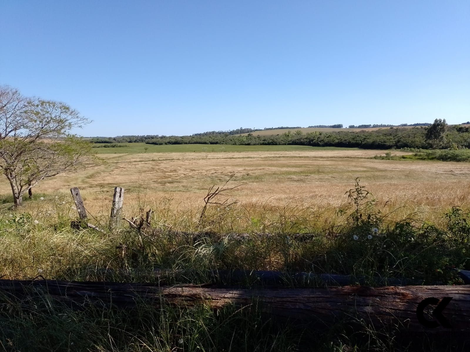 Fazenda à venda com 2 quartos, 130000m² - Foto 7