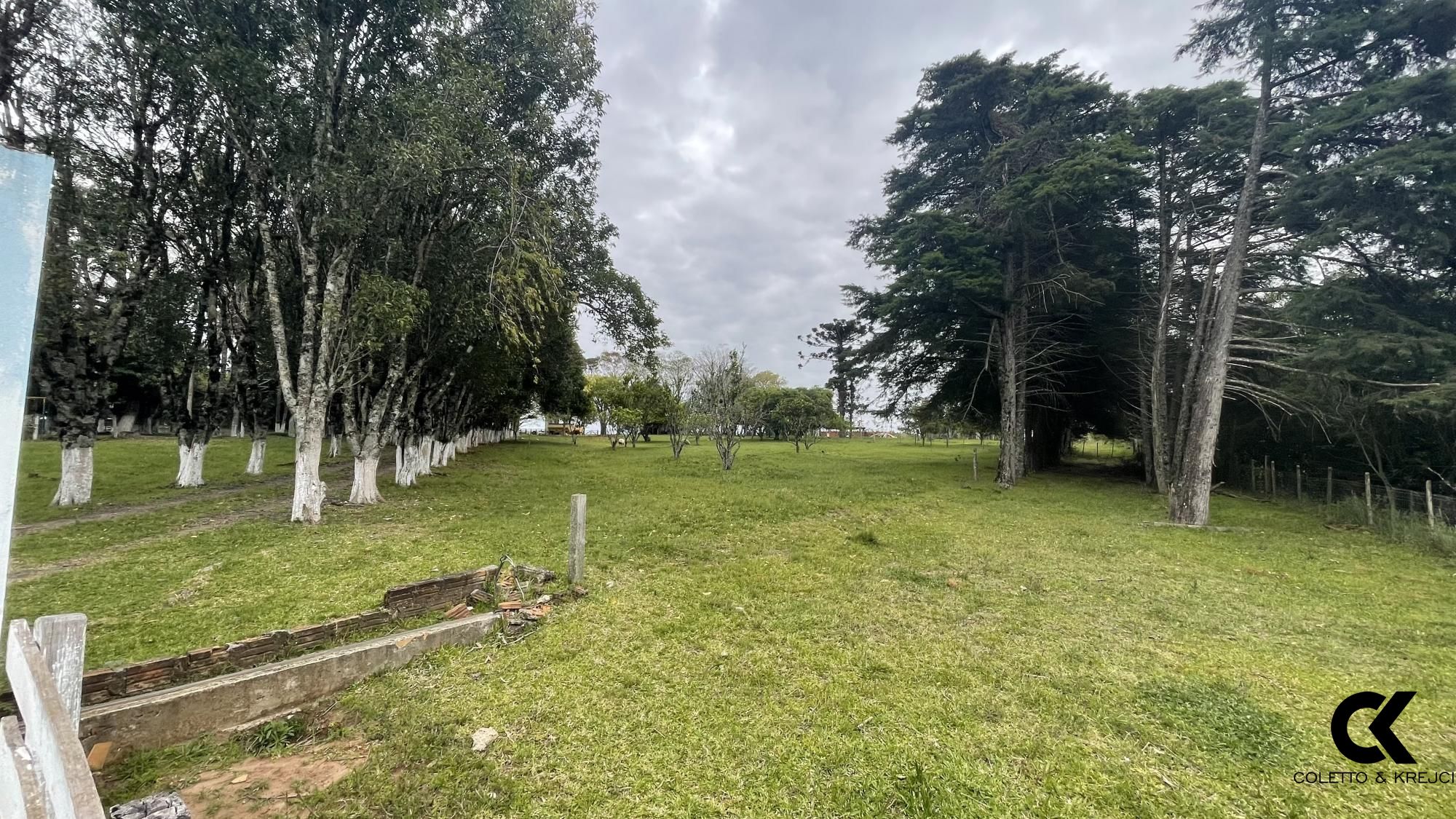 Fazenda à venda com 3 quartos, 146000m² - Foto 4