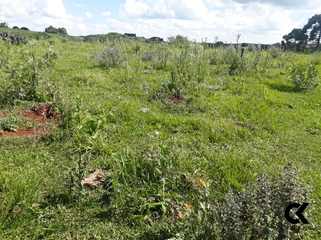 Loteamento e Condomínio à venda, 487000m² - Foto 6