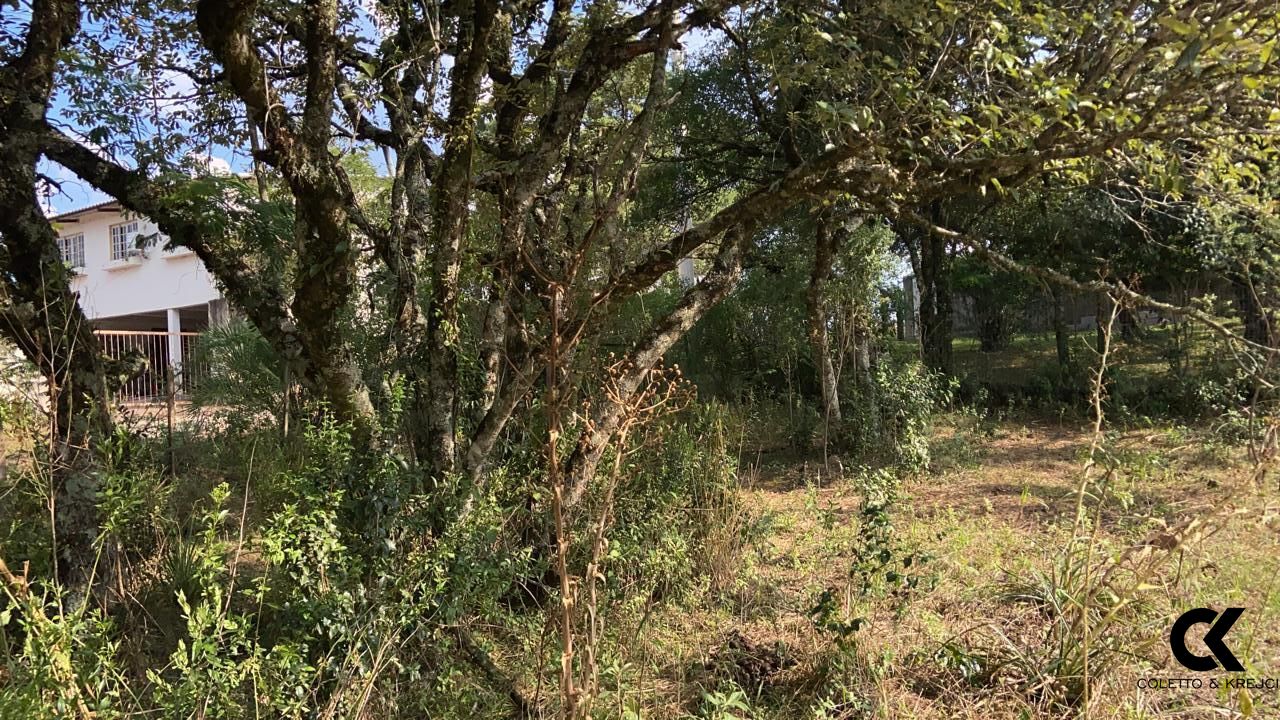 Terreno à venda, 1000m² - Foto 6