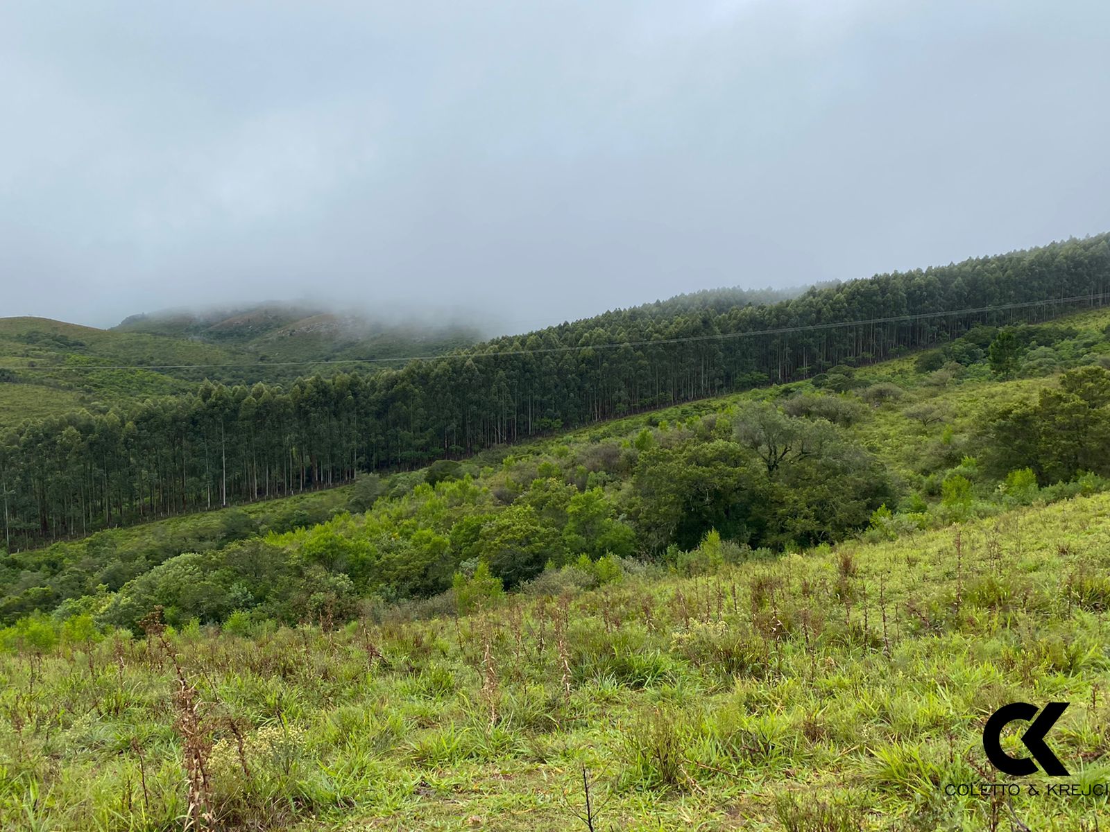 Fazenda à venda com 3 quartos, 5000000m² - Foto 15