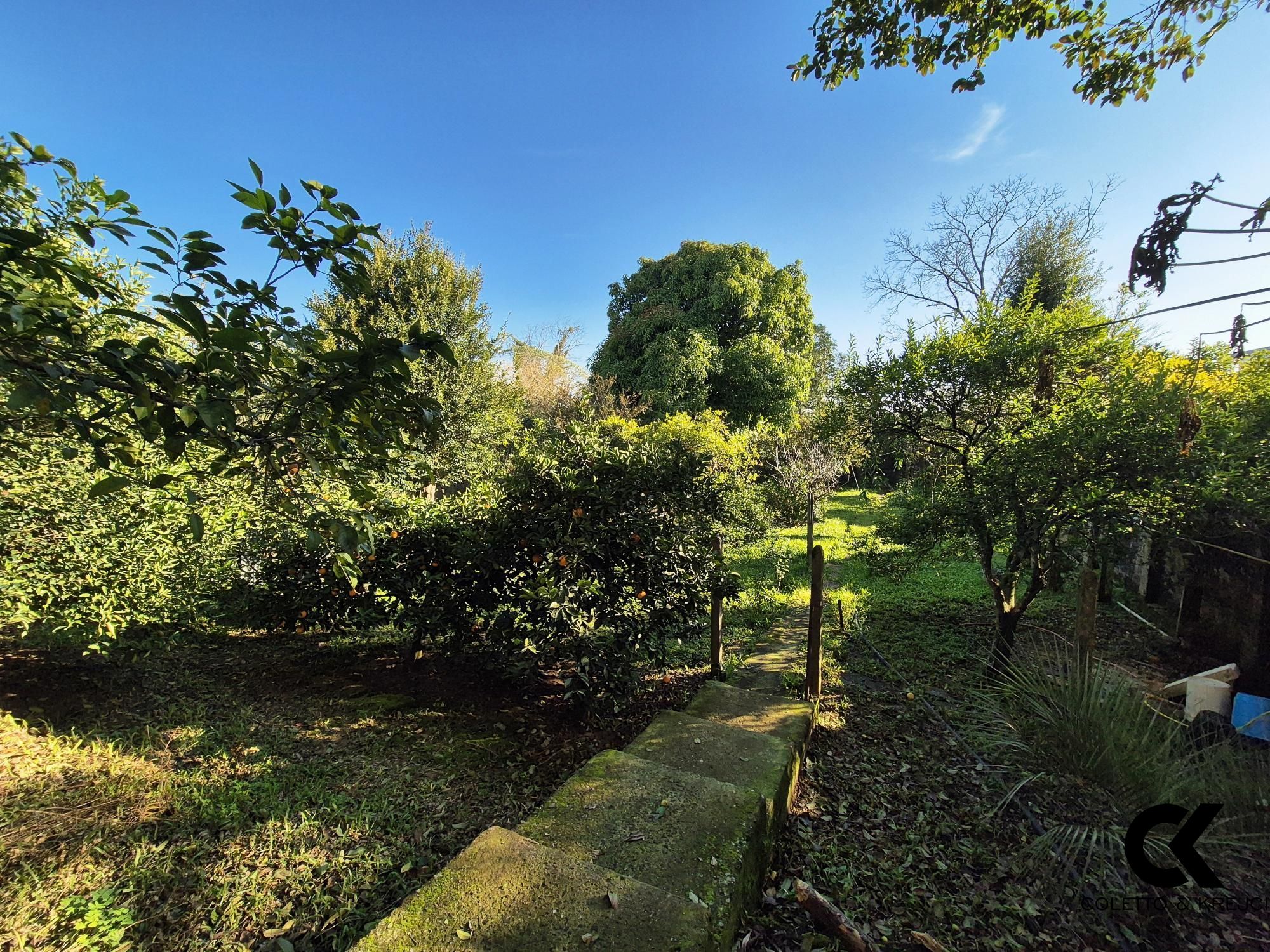 Casa, 5 quartos, 440 m² - Foto 26