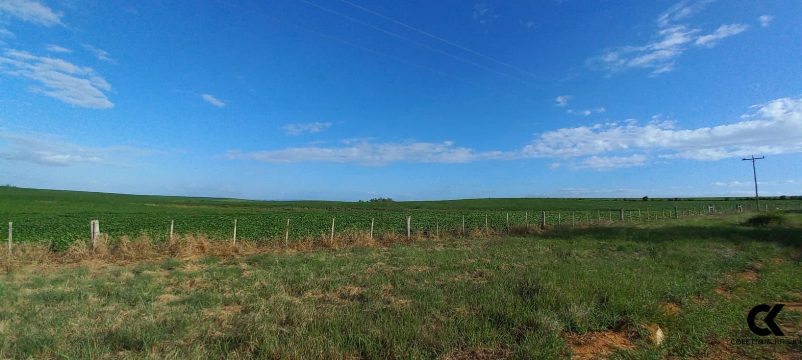 Fazenda à venda com 3 quartos, 20000000m² - Foto 6