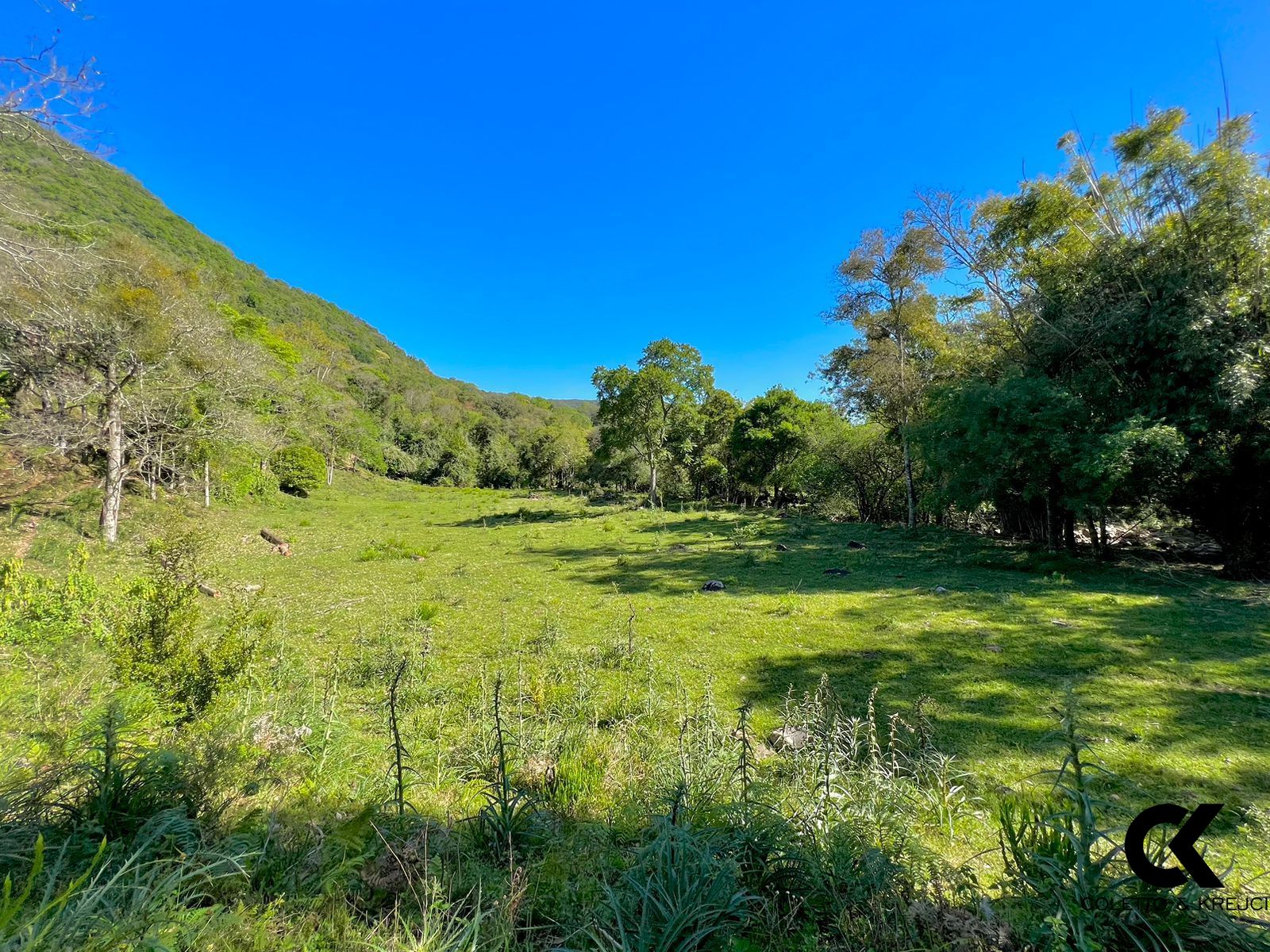 Sítio à venda com 10 quartos, 600m² - Foto 41