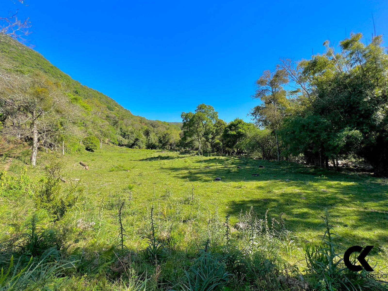 Fazenda à venda com 10 quartos, 600m² - Foto 41