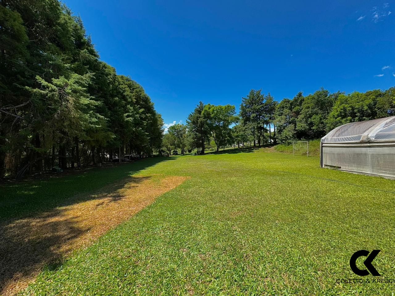 Chácara, 4 quartos, 13 hectares - Foto 13