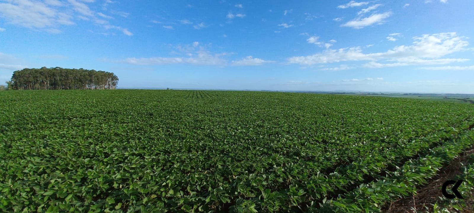 Fazenda à venda com 3 quartos, 20000000m² - Foto 1