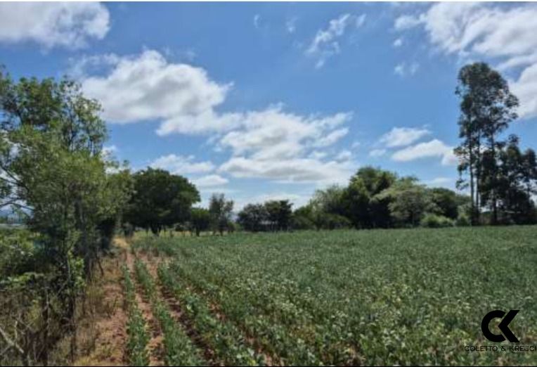 Chácara, 231 m² - Foto 7