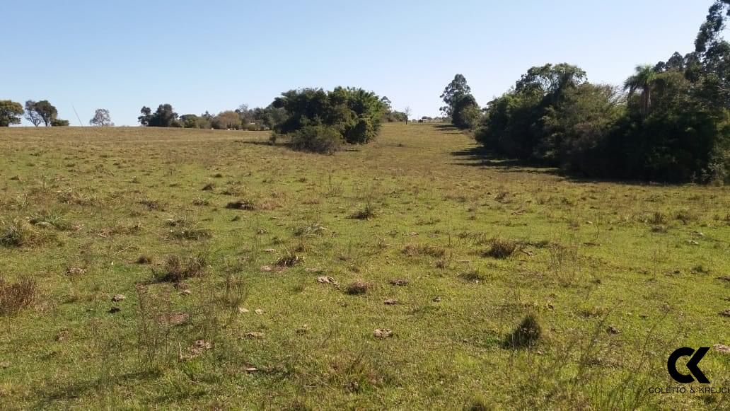 Fazenda à venda e aluguel com 1 quarto, 300000m² - Foto 5