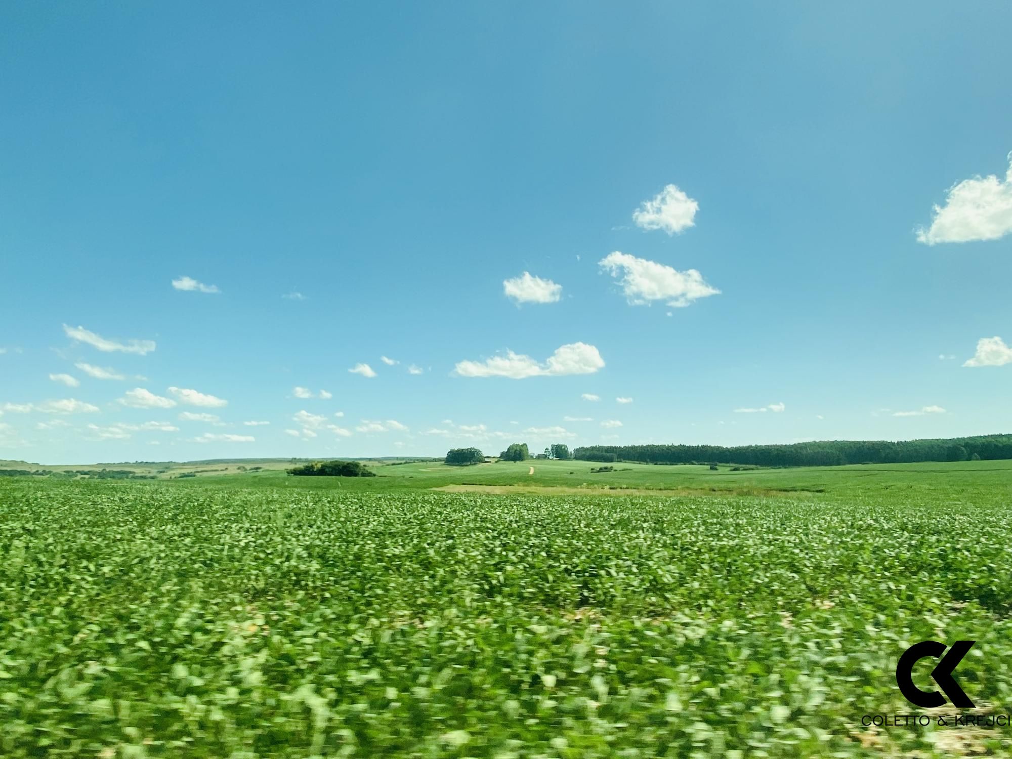 Fazenda à venda com 7 quartos, 8750000m² - Foto 3