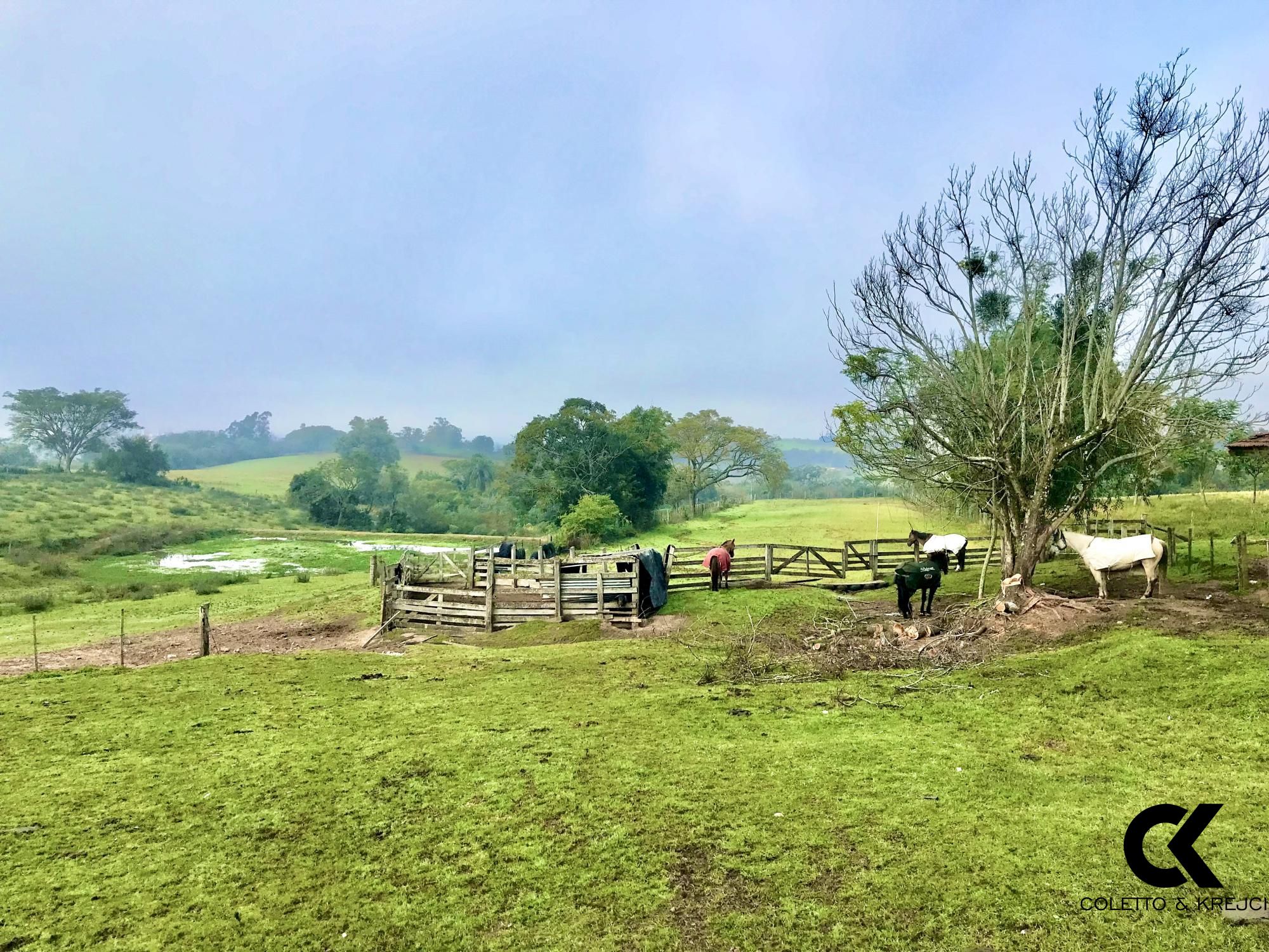 Fazenda à venda com 3 quartos, 185000m² - Foto 7