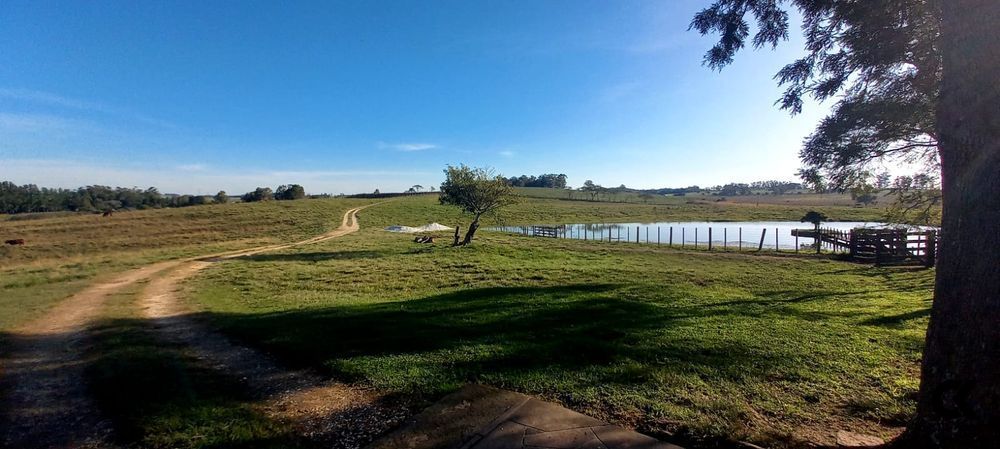 Fazenda, 7 hectares - Foto 20