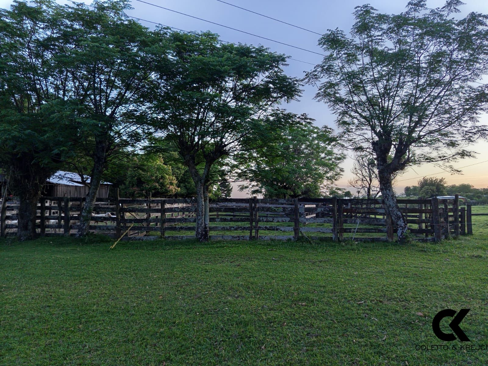 Sítio, 2 quartos, 50000 hectares - Foto 10