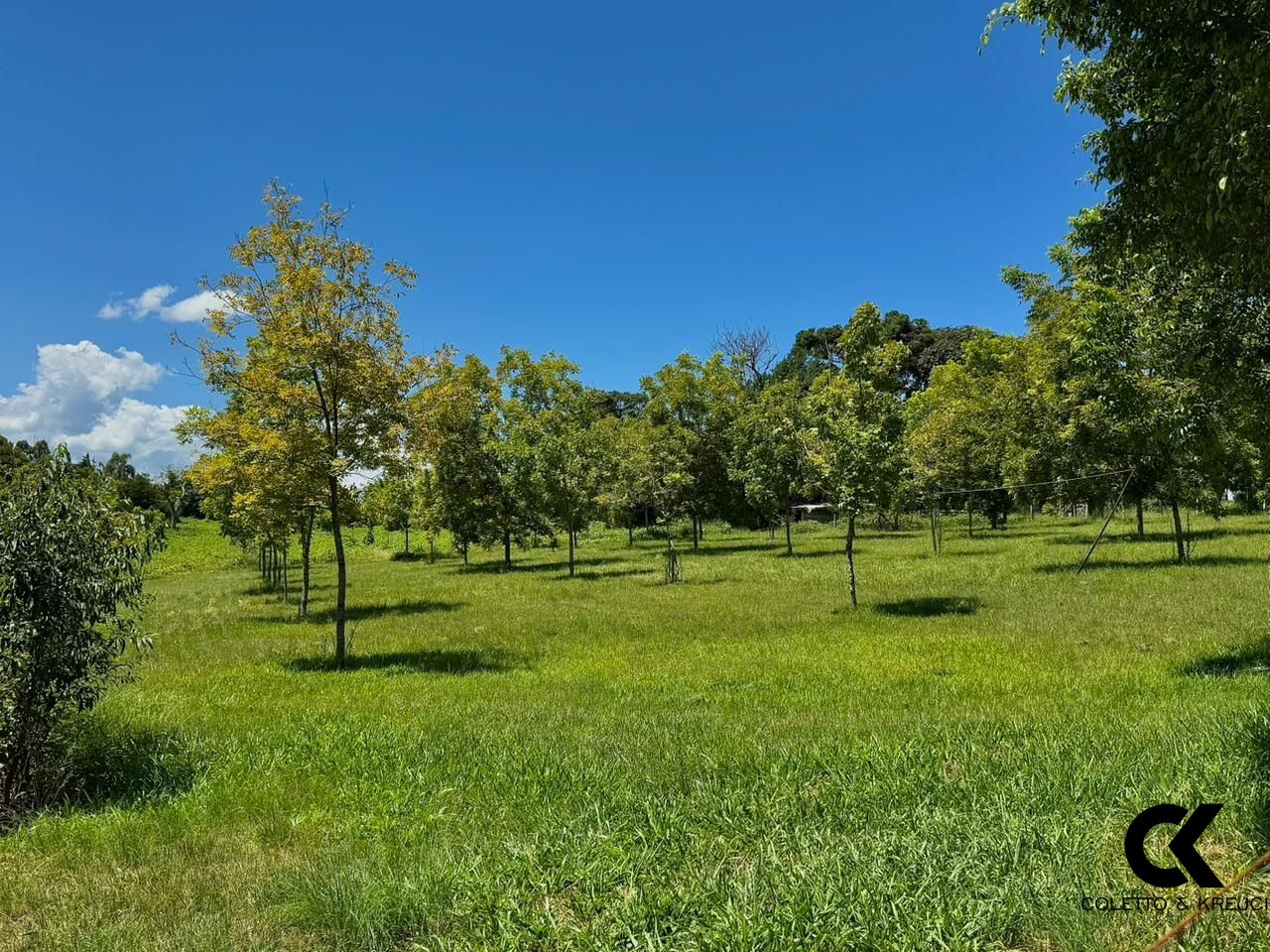 Chácara, 4 quartos, 13 hectares - Foto 12