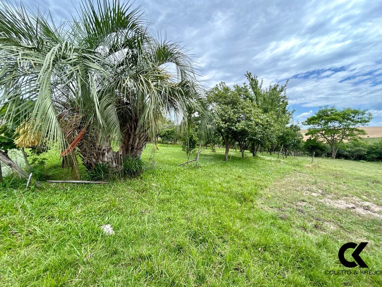 Fazenda à venda com 3 quartos, 15000m² - Foto 9