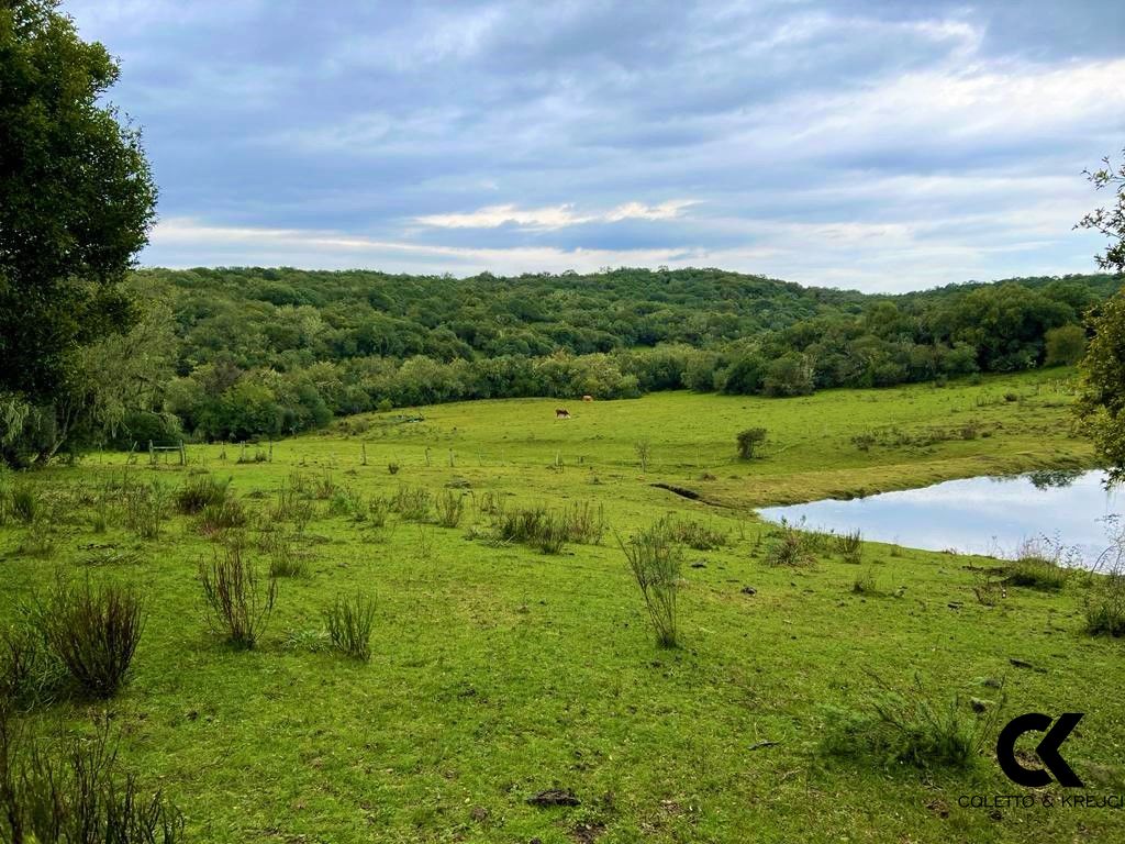 Sítio, 108 hectares - Foto 15