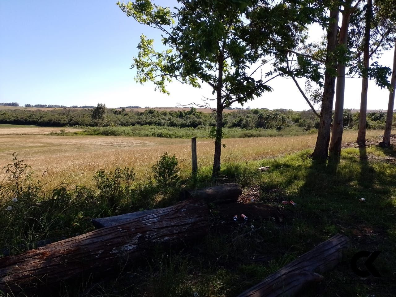 Fazenda à venda com 2 quartos, 130000m² - Foto 5