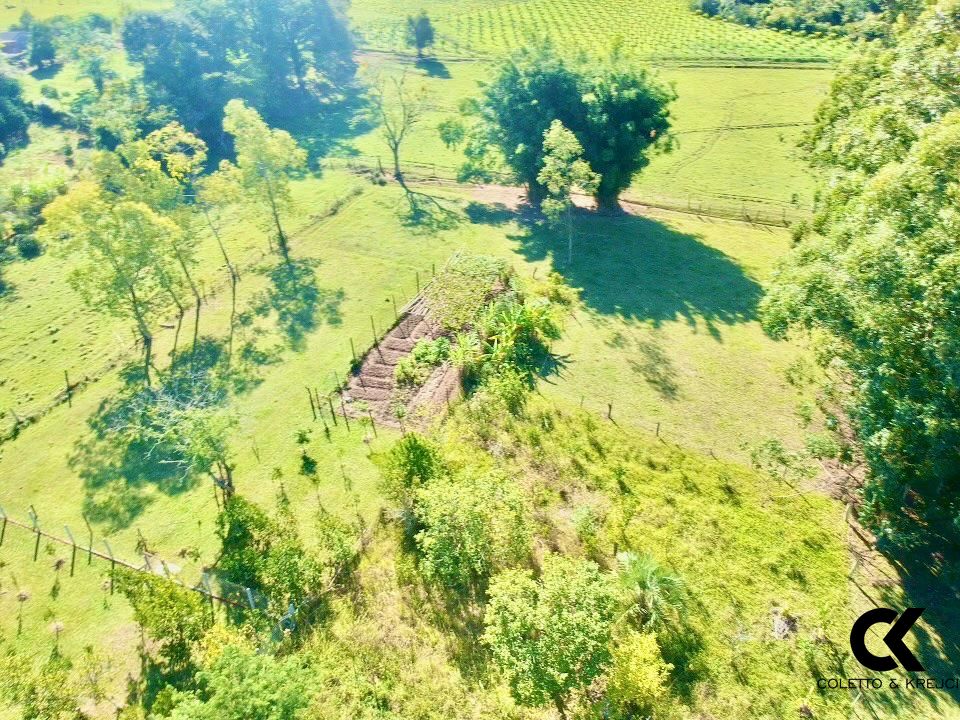 Chácara à venda com 2 quartos, 3000m² - Foto 6