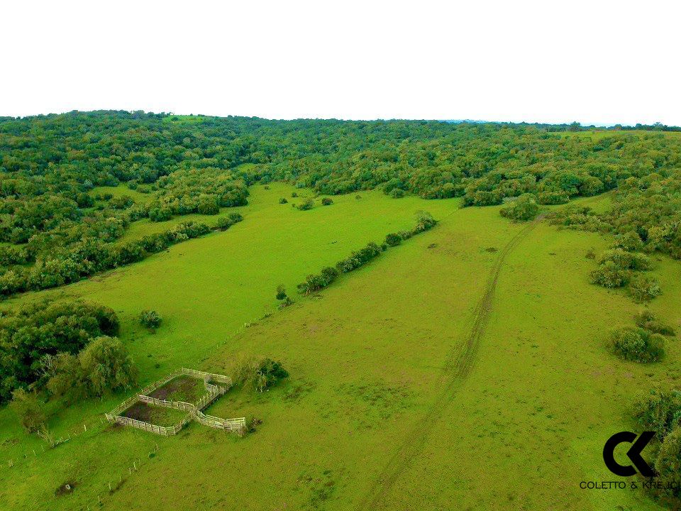 Sítio, 108 hectares - Foto 6