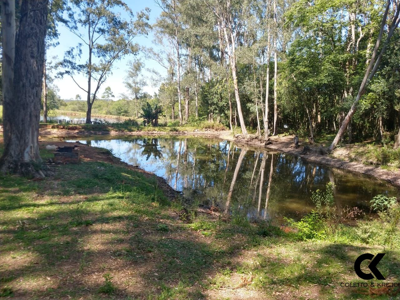 Fazenda à venda com 4 quartos, 480m² - Foto 25