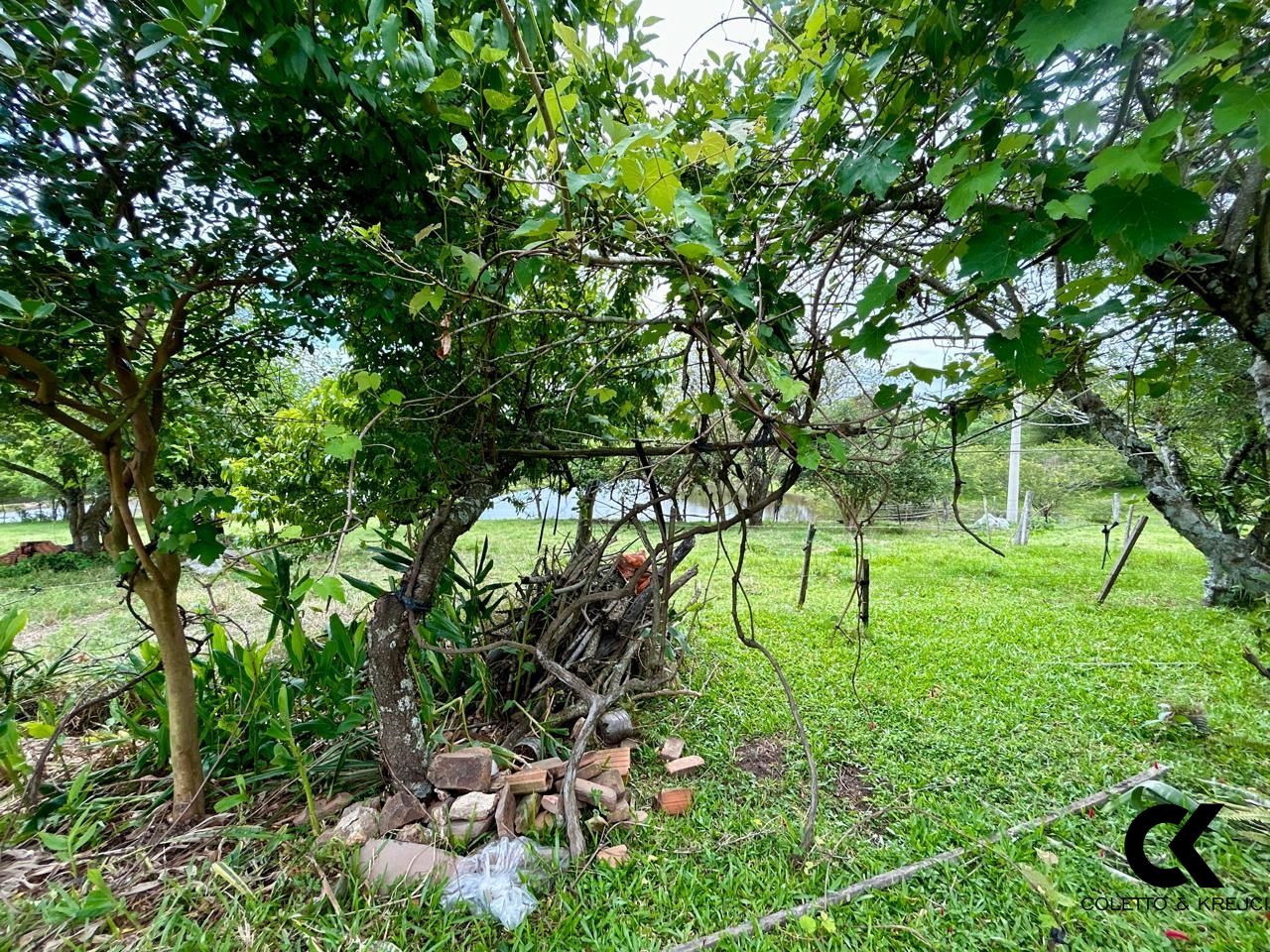 Fazenda à venda com 3 quartos, 15000m² - Foto 7