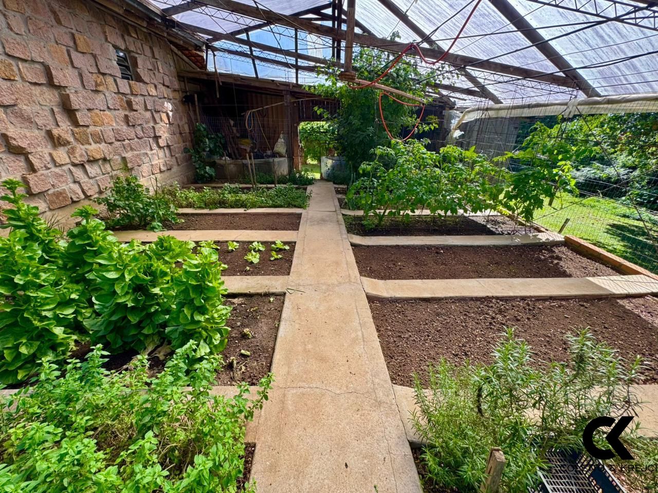 Chácara, 3 quartos, 3 hectares - Foto 13